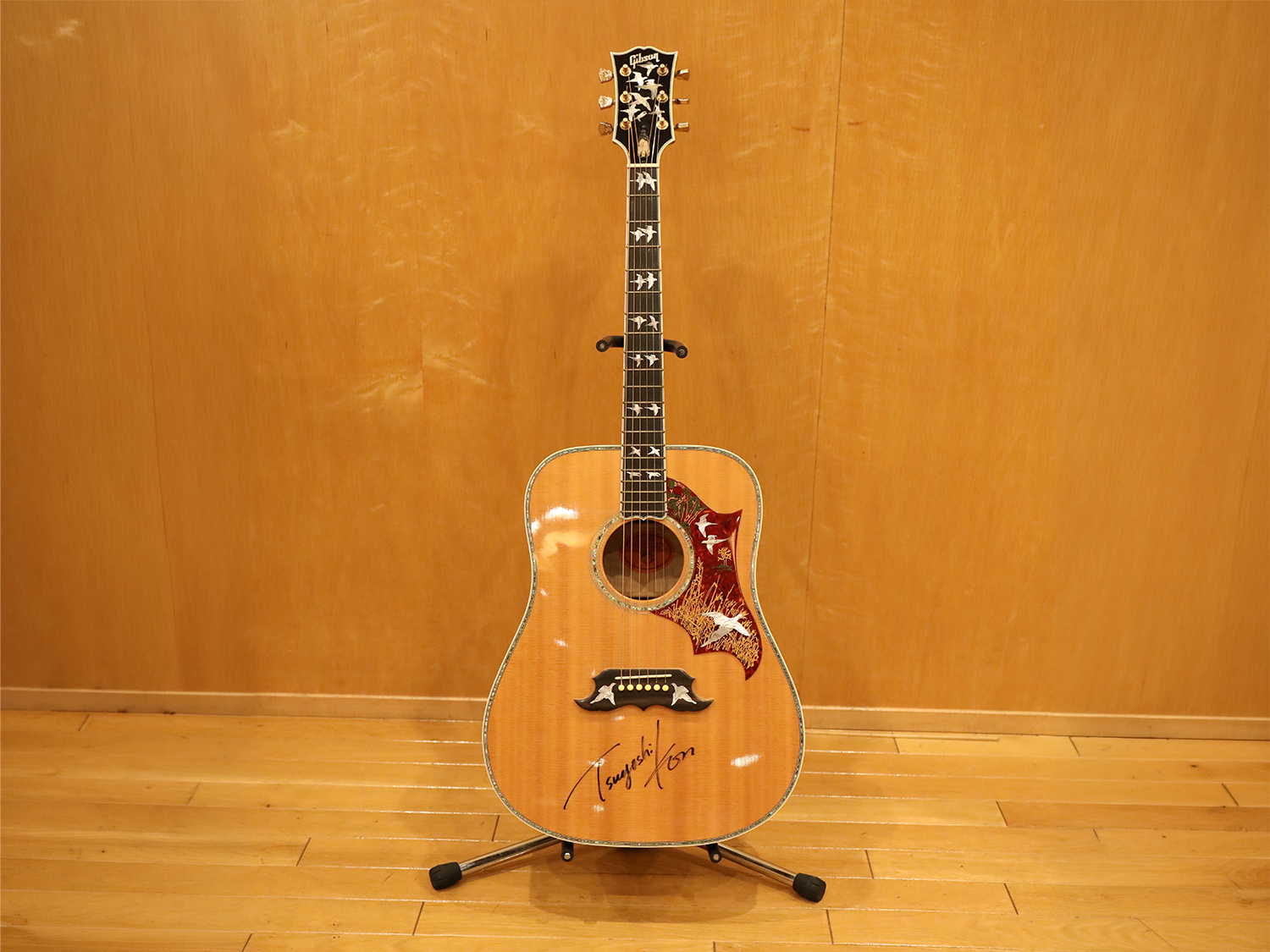 Acoustic guitar