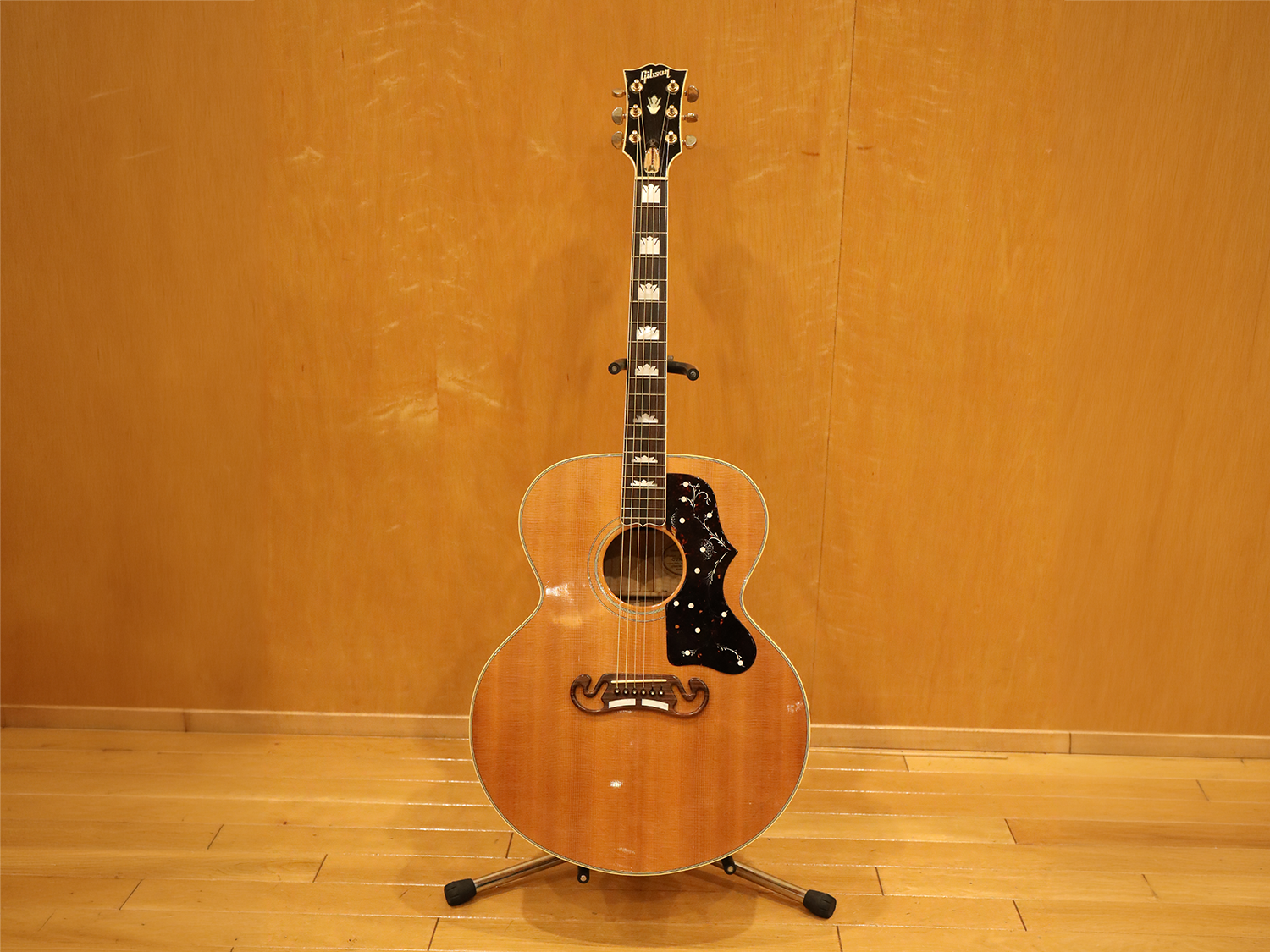 Acoustic guitar detail